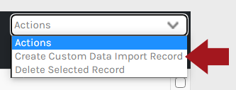 CORE_-_Data_-_Import_-_Custom_-_04.png