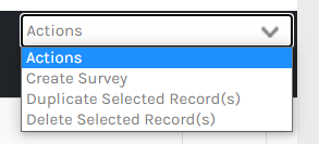 Surveys_-_02.png