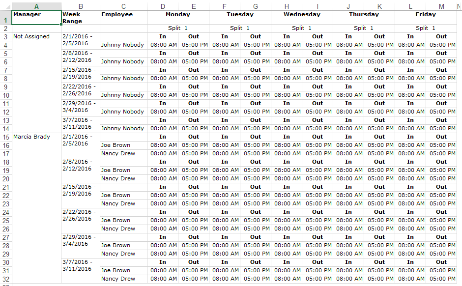 Schedule_by_Manager_Excel.png
