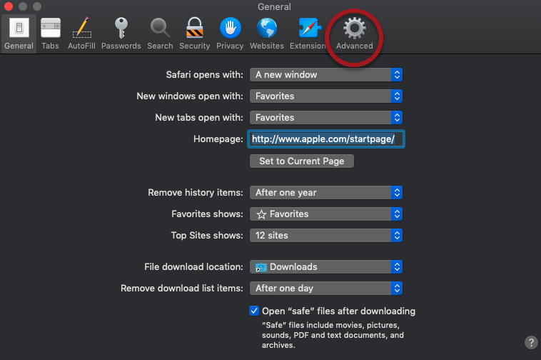 How_to_Capture_Performance_Data_for_your_Web_Browser__360034345373__HAR_-_SAFARI_-_03_-_Advanced.png
