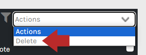 CHR - Employees - Logs - Premium Billing - Action - 01.png