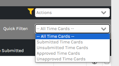 CHR - Employees - Time Attendance - Menu - Filter - 00.png