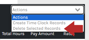 CHR - Employees - Time Attendance - Pay Range Menu - Records - Delete - 01.png