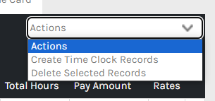 CHR - Employees - Time Attendance - Pay Range Menu - Actions - 00.png