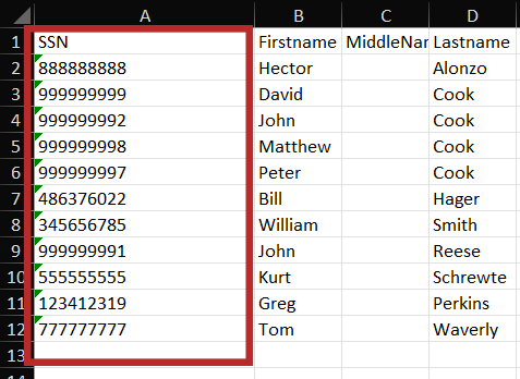 CHR - Data - Exports - Quick Export - Employees - SSN - 01.png
