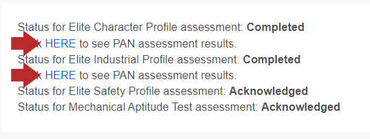 ATS - PAN Assessments - 04 - View PAN Results.png