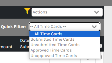CHR - Employees - Time Attendance - Timesheet Cards - Filter - 00.png
