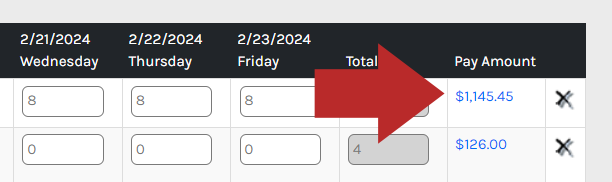 CHR - Employees - Time Attendance - Timesheet Cards - Details - Records - Pay Amounts - 00.png