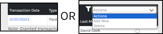 CHR - Employees - Time Attendance - Pay Range Menu - Time Off Detail - Add Edit - 00.png