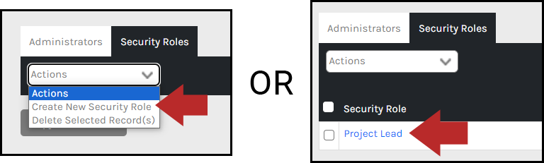 CHR - Administrators - Security Roles - Create Edit - 00.png