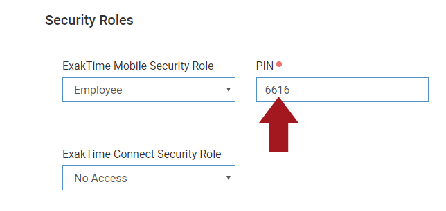 04 - PIN 2.png