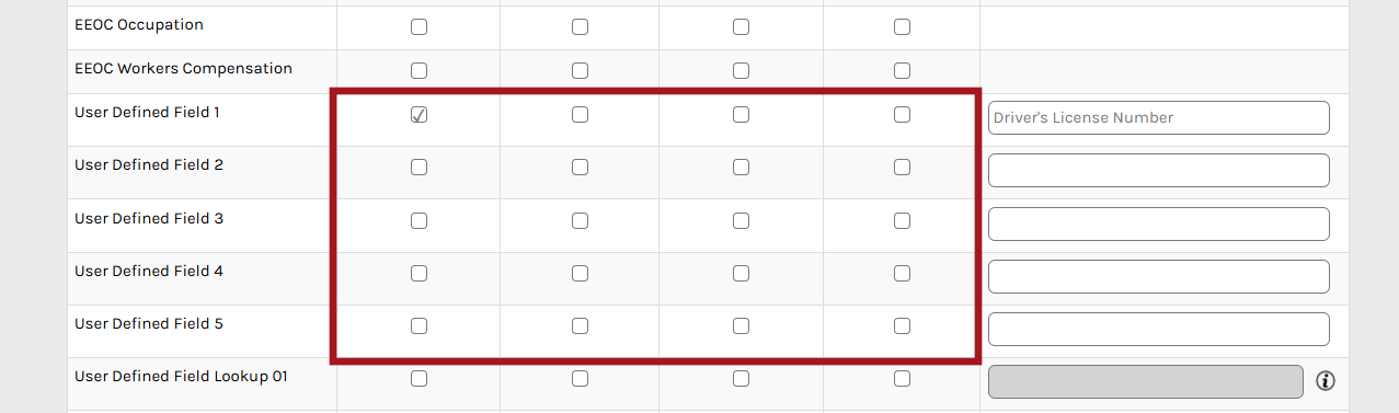 CHR - Required Fields - User Defined Fields - 03.png