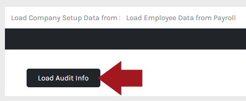 CHR - Settings - Payroll - Utilties - Audit - 03.png
