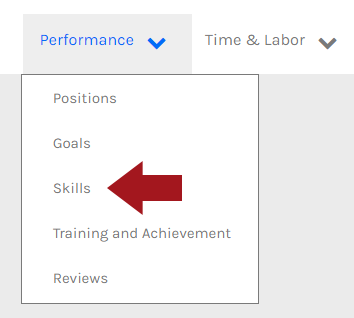 CHR - Employee - Performance Menu - Skills - 00.png