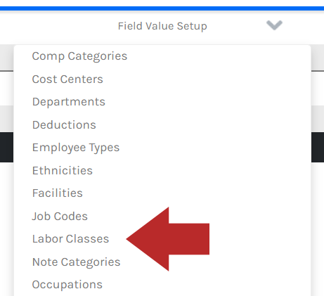 CHR - Field Value Setup - Menu - Labor Class - 00.png