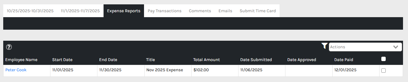 CHR - Employee Homepage - My Time - Timesheets - Details - Expense Reports - 00.png
