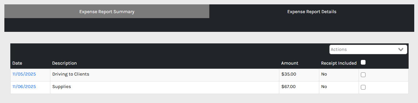 CHR - Employee Homepage - My Time - Time Cards - Expense Reports - Add - 02.png