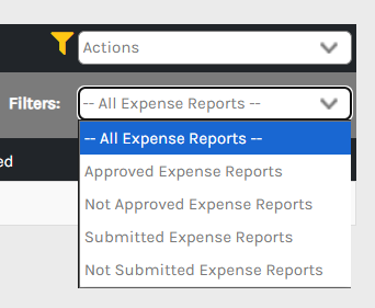 CHR - Employee Homepage - Expenses - Expense Reports - Filters - 00.png