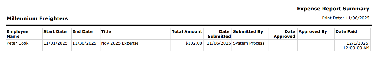 CHR - Employee Homepage - Expenses - Reports - Report Summary - 00.png