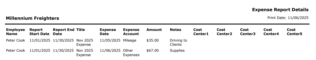 CHR - Employee Homepage - Expenses - Reports - Report Details - 00.png
