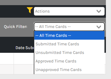 CHR - Employee Homepage - Manage Time - Records - Filters - 00.png