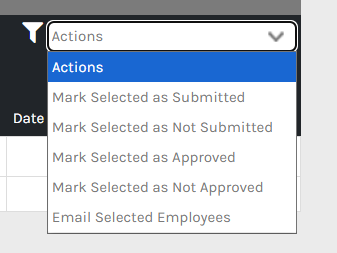CHR - Employee Homepage - Manage Time - Records - Actions - 00.png