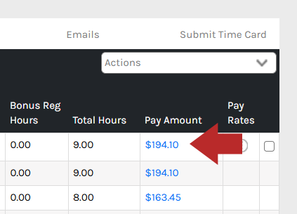 CHR - Employee Homepage - Manage Time - Time Clock Cards - Records - Pay Amount - 00.png