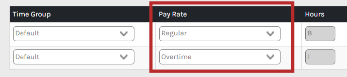 CHR - Employee Homepage - Manage Time - Time Clock Cards - Records - Pay Amount - 01.png