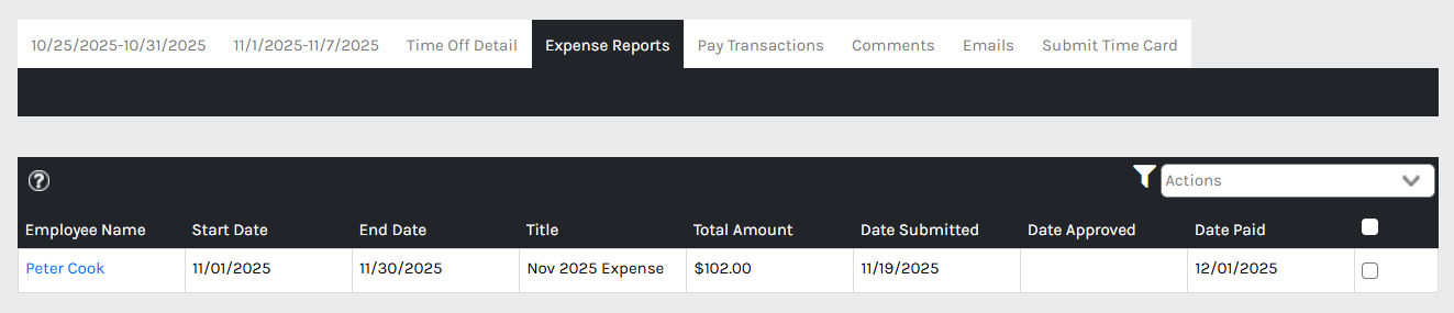CHR - Employee Homepage - Manage Time - Time Sheets - Details - Expense Reports - 00.png