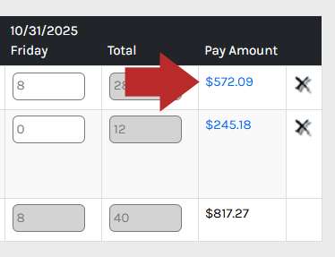 CHR - Employee Homepage - Manage Time - Time Sheets - Pay Amount - 00.png