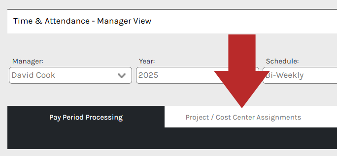 CHR - Employee Homepage - Manage Time - Project Cost Centers - 00.png
