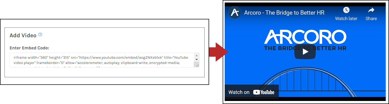 Video_Example_-_00.png