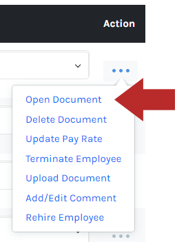 EFF_-_Actions_-_Open_Document_-_01.png