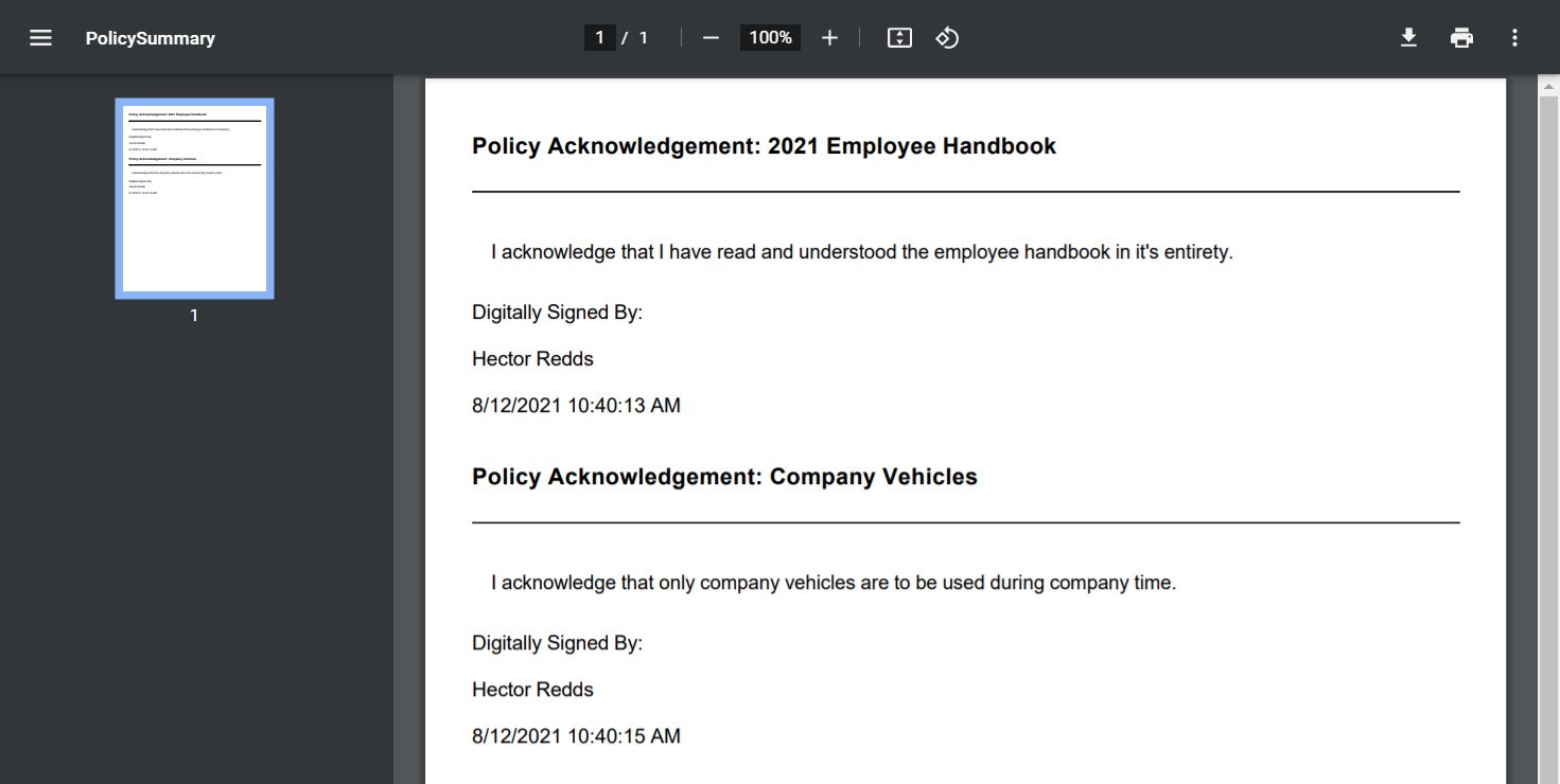 Policy_Document_Example_-_01.png