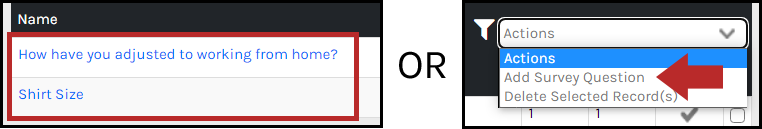 CHR_-_Surveys_-_Questions_-_Name_-_02.png