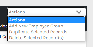 CHR_-_Employee_Groups_-_Actions_-_00.png