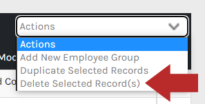 CHR_-_Employee_Groups_-_Actions_-_03.png