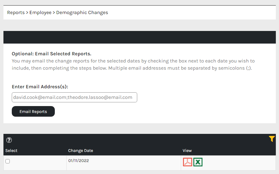 CHR_-_Reports_-_Employee_-_Demographic_Changes_-_00.png
