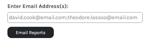 CHR_-_Reports_-_Employee_-_Demographic_Changes_-_Email_-_00.png