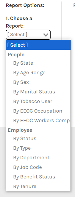 CHR_-_Reports_-_Employee_-_Demographics_Dashboard_-_Step_1_-_00.png