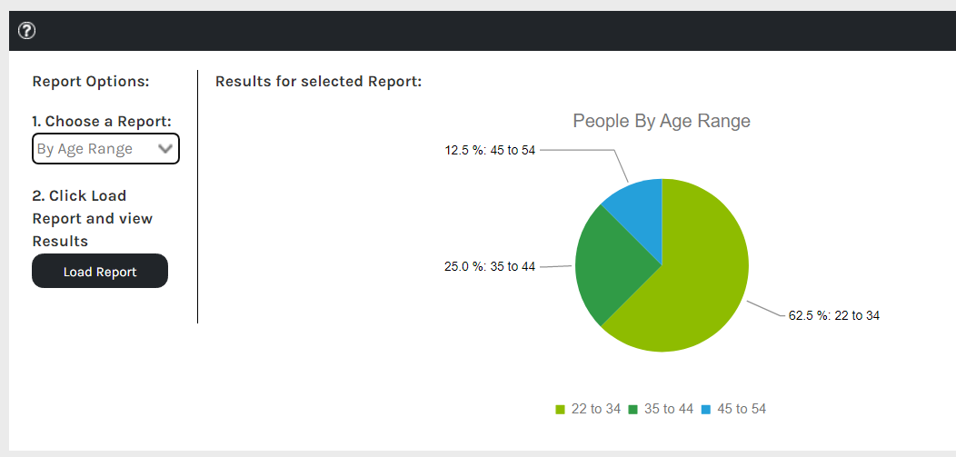 CHR_-_Reports_-_Employee_-_Demographics_Dashboard_-_Step_3_-_00.png