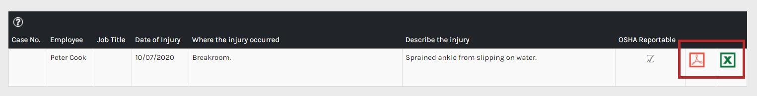 CHR_-_Reports_-_Employee_-_OSHA_Form_300_-_03.png