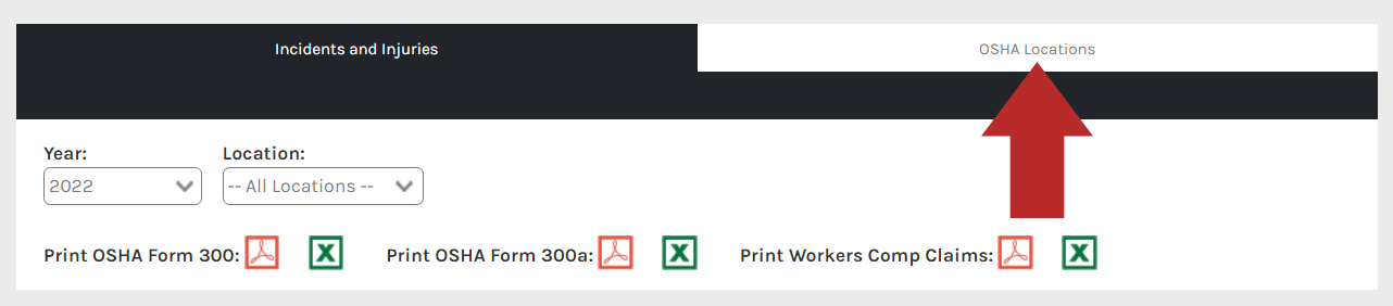 CHR_-_Reports_-_Employee_-_OSHA_Form_300_-_05.png