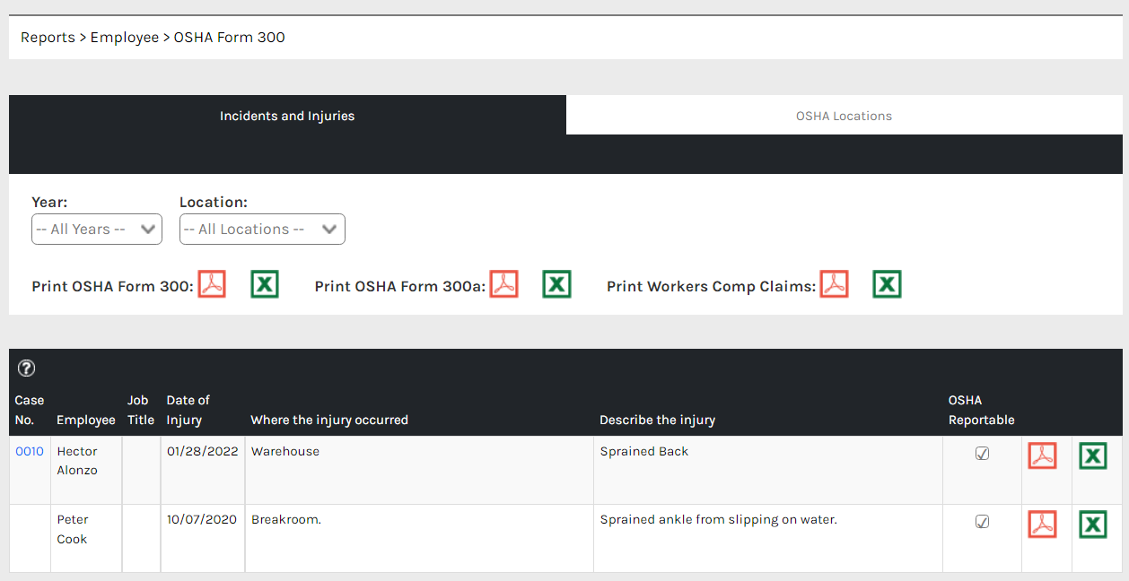 CHR_-_Reports_-_Employee_-_OSHA_Form_300_-_06.png