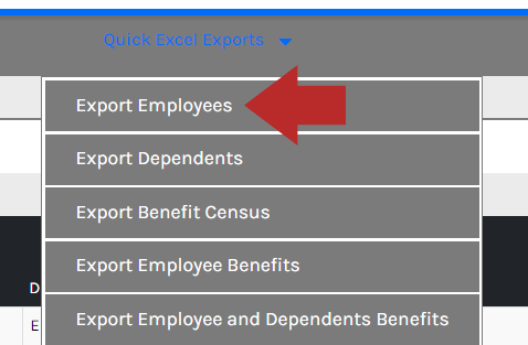 CHR - Exports - Quick Excel - Employees - 00.png