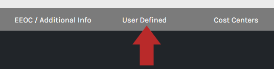 CHR_-_Employee_-_Demographic_Info_-_Tabs_-_User_Defined_-_00.png