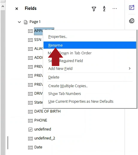 CHR - Prefilled Forms - Word Doc - 21.png