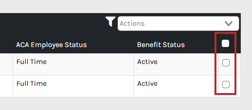 CHR - Terminate Employee ACA - Employee Status History - 01.png
