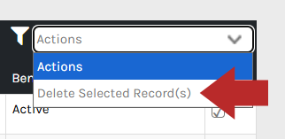 CHR - Terminate Employee ACA - Employee Status History - 03.png