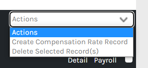 CHR_-_Employee_-_Payroll_-_Compensation_-_Actions_-_00.png